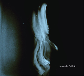 A wonderful life