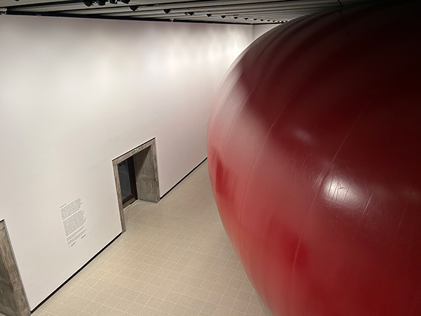 Hayward Gallery