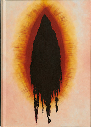 Anish Kapoor