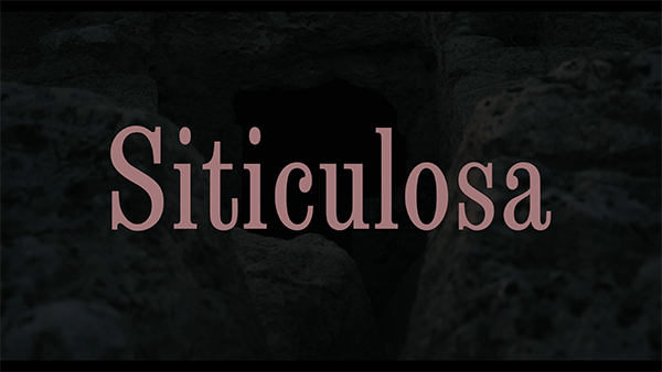 Siticulosa