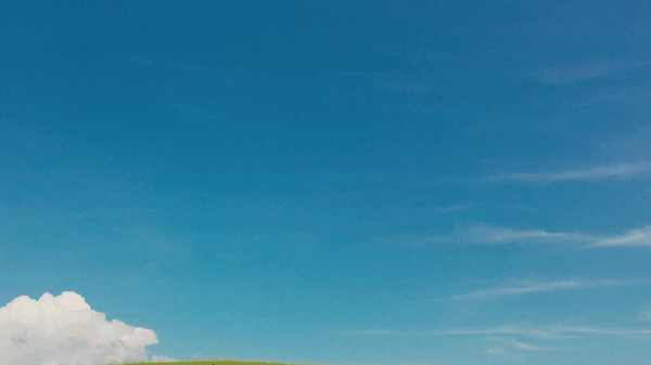 You Can’t Fly